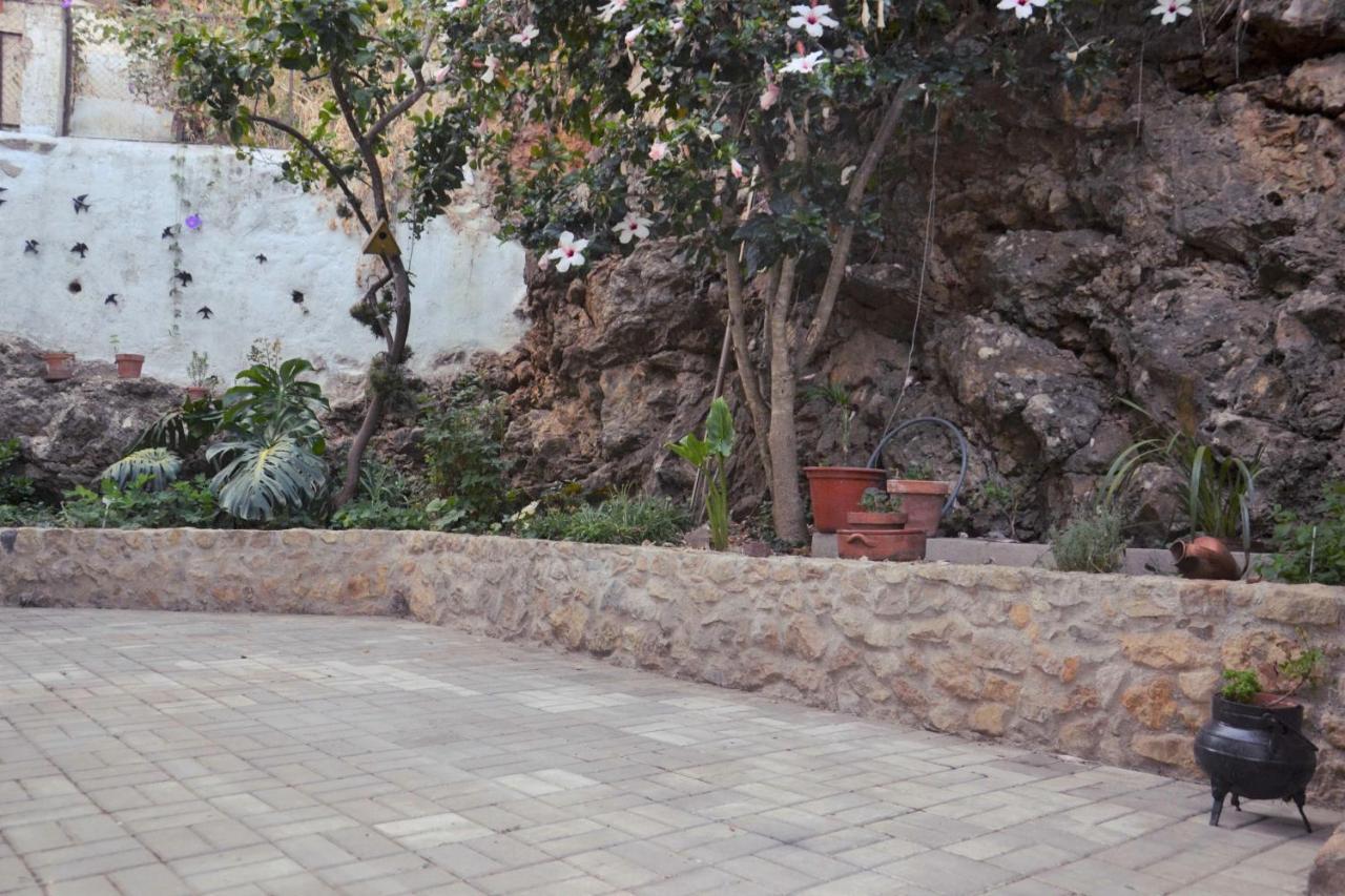 Casa Da Nono Daire Coimbra Dış mekan fotoğraf